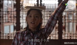 娱乐圈吃瓜壁纸高清图片,高清壁纸下的明星生活众生相